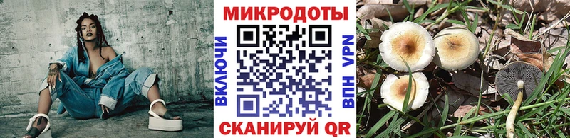 ссылка на мегу ссылка  Гдов  Псилоцибиновые грибы Cubensis 